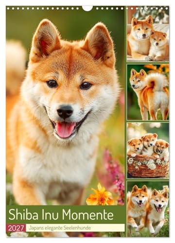 Shiba Inu Momente. Japans elegante Seelenhunde (Wandkalender 2027 DIN A3 hoch), CALVENDO Monatskalender: Stimmungsvolle Bilder, die den Charme und ... schönen Hunde einfangen (CALVENDO Tiere)