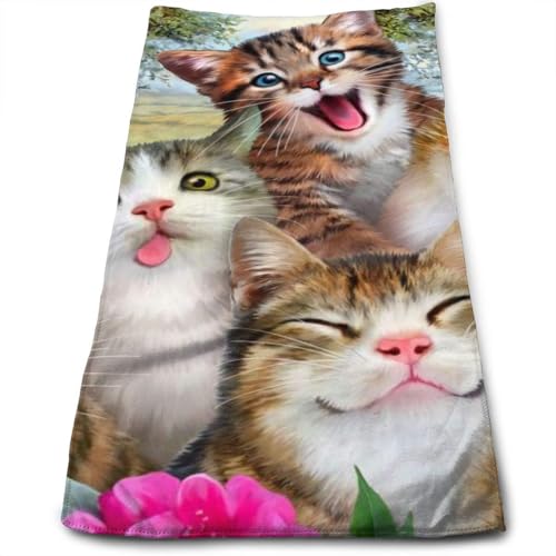 ^I oX^I  킢 L tFCX^I uԋz  ϋv ӂ ڂ _炩G Ɩp ƒp 30 x 70cm