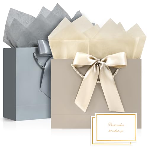 BBILKE Sacchetti Regalo Medie - 2 Sacchettini Borsa Regali Compleanno in Carta con 2 Carte, Buste Regalo Grandi Elegante con Manici per Ragazze San Valentino Festa di Nozze Natale (Grigio Champagne)