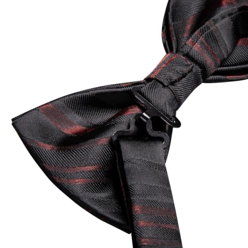 Image of Dubulle Mens Paisley Striped Bowtie Set Pre-tied Bowtie for Men and Pocket Square Set Wedding Business