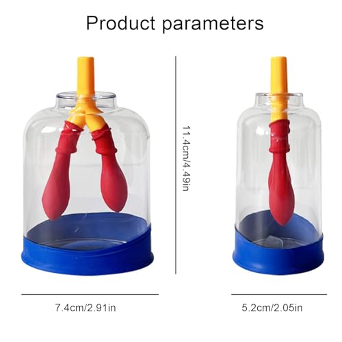 Modelo de respiración pulmonar resistente a arañazos para enseñanza de ciencias 6