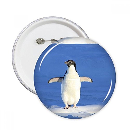 Broche pingouin blanc bouton décoration vêtement pins rond science nature 5pcs