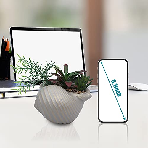 Faux Succulents in Conch Sea Shell Home Decor,Coastal Beach Decorations for Home Bathroom Ocean Seashell Decor Series for Home Beach Decor Theme Party Favors (Without Drainage Hole) - Image 5