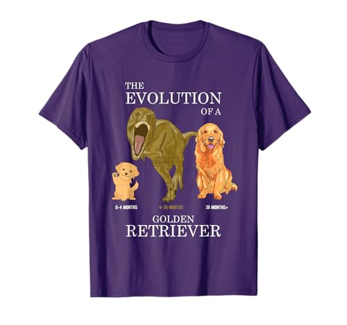 The Evolution of a Golden Retriever or Evolution of dogs