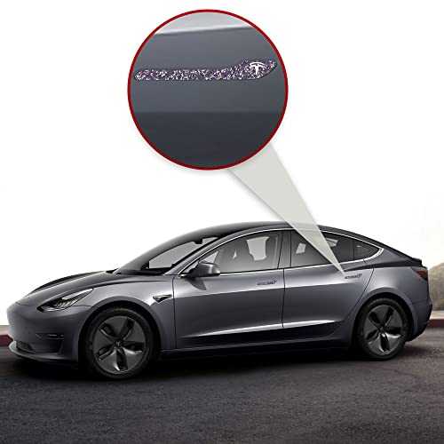 Image of IPG Compatible for Model 3 / Model Y /Juniper Door Handle Decal Sticker Wrap Kit (Set of 4) with Tesla Logo Personalize Your Tesla (Purple Glitter)