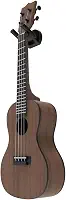 Suporte de Parede e Painel Para Ukulele Instrumento Musical - ARTBOX3D