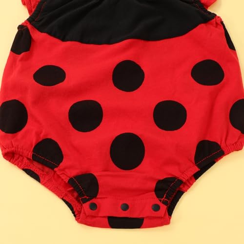 Biene Kostüm für Baby Jungen Mädchen,Ladybug Body Strampler Neugeborene Verkleidung Bienenkostüm und Hut für Größe 0 bis 9 Monate