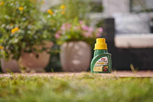 Image of Ortho Tree & Shrub Fruit Tree Spray Concentrate - Combination Bug Killer and Fungicide for Plants, Pest Control Concentrate, 16 fl. oz.