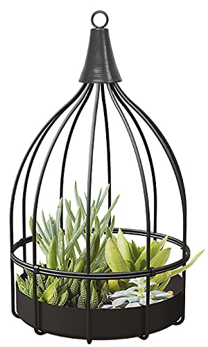 Bird Cage Succulent Planter Black