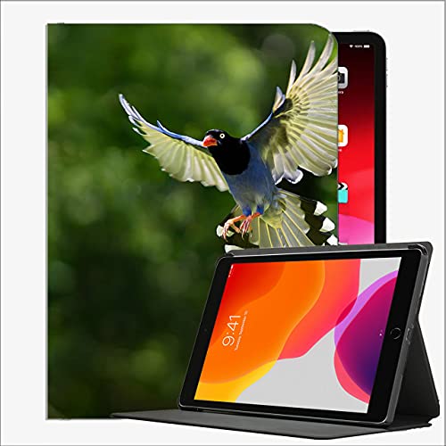 Caso para iPad (Modelo de 9.7 Pulgadas, 2018/2017, 6ª / 5ta generación), alas de Aves Bokeh Background # 8 Funda de Concha Delgada para iPad 9.7 Pulgadas