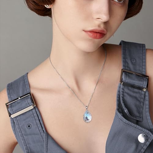 Collier papillon argent sterling, le cadeau d'anniversaire idéal