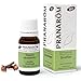 Pranarôm | Huile Essentielle Giroflier Bio | Eugenia Caryophyllus | Bouton Floral | 10ml