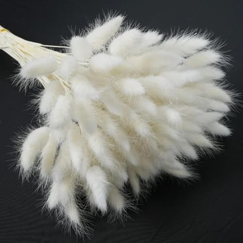 Pampas Grass Decor Tall, 120 piezas flores secas