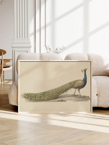 Toile imprimée paon vintage pour créer une ambiance sereine dans votre bureau