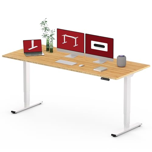 Dual Motor Standing Desk with Bamboo Top