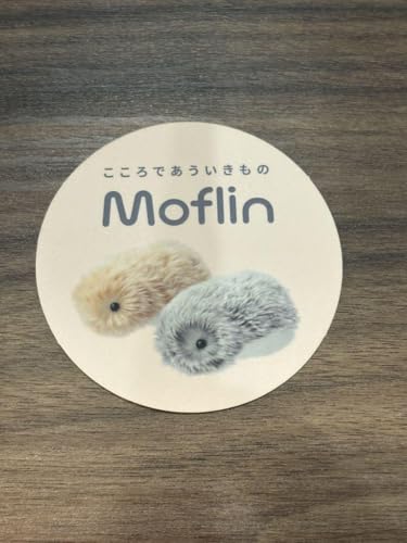 カシオ Moflin ゴールドサムネイル4