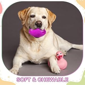 4 Pcs 4.5” Spiky Squeaker Football Dog Toy for Medium Large Dogs Spiky Dog Balls Puppy Chew Toys for Aggressive Chewers Spiky Ball Dog Toy Fetch Toys for Training (Vivid,Colorful)