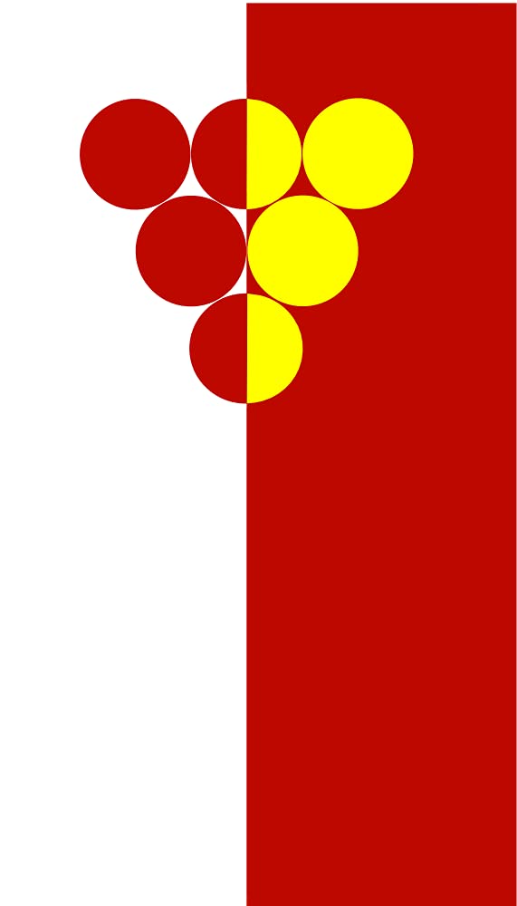 Drapeau Kavadarci Municipality XL grand format pavillon officiel Macédoine