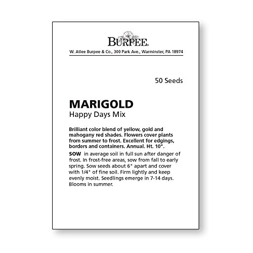 Burpee Happy Days Mix Marigold Seeds 150 Seeds #TOP3