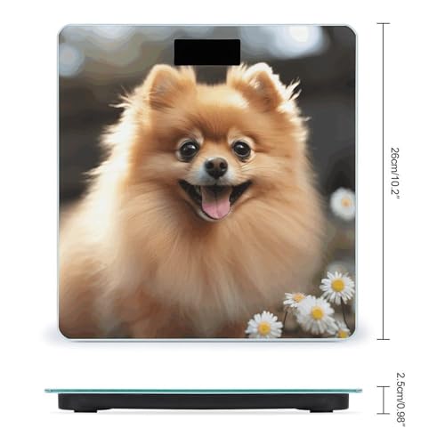 Báscula Digital de Baño con Diseño Pomeranian 400 lb miniatura 2