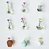 Cute Mini Vase Magnets for Fridge, Tiny Magnetic Ceramic Glass Flower Vases Refrigerator Accessories, Funny Aesthetic Plant Pot Magnets for Locker Office Kitchen Decoration, Small Magnet Bud Planter