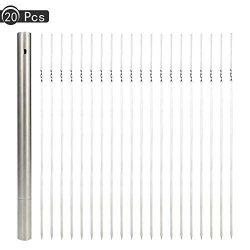 fanshiontide 21 Pcs Stainless Steel BBQ Grilling with Portable Storage BBQ Stick Skewers Set Tube Metal Skewer Sticks BBQ Stick Skewers Set for BBQ Picnic