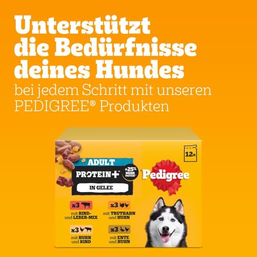 Pedigree Hund Portionsbeutel Protein Plus mit Stückchen in Gelee für ausgewachsene Hunde 4 x 12 x 85 g