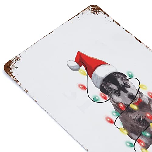 Outdoor Metal Signs Dog Tangled In Lights Merry Christmas Dog Metal Sign 8"X12" Dog Lover Gifts Tin Plaque Plate Retro Vintage Hanging Wall Plaque Kitchen #TOP6