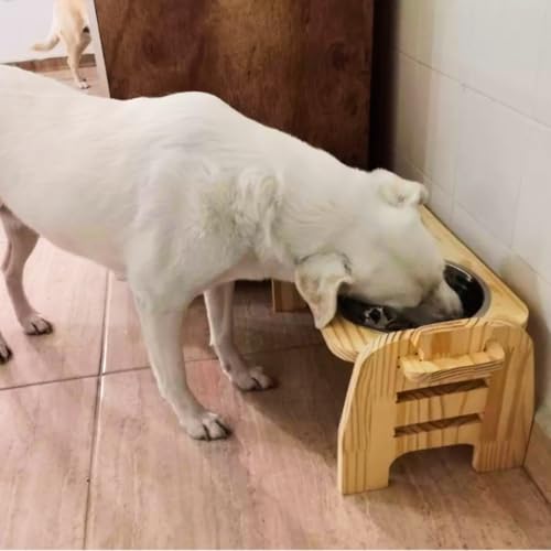 Comedouro Pet Cachorro E Gato Duplo Com Regulagem Altura M Com Tigelas em Aço Inox