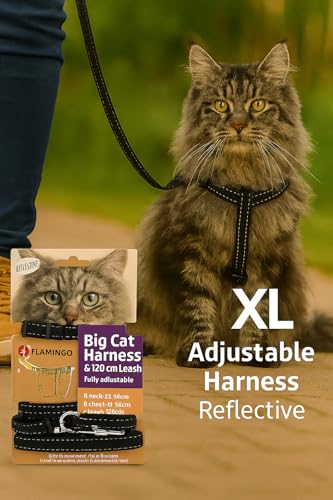 cat harness - large cat Elza black - 22-32cm - 35-56cm - leash 120cm - adjustable nylon - reflective - with carabiner - Image 2
