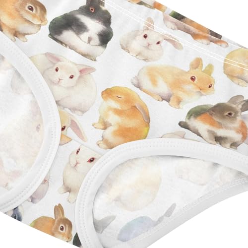 Wusikd Bunnies Colors Girls' Underwear Cotton Girls Briefs Soft Toddler Underwear 2T4
