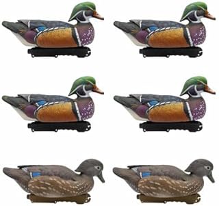 Final Approach Live Floating Wood Duck Decoys, 6 Pack in Green