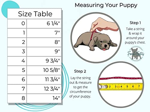 Newborn Puppy Flat Chest Kit