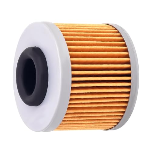 Filtre à huile moto 8000B5425 pour stopper l'usure moteur sur MV Agusta Rivale