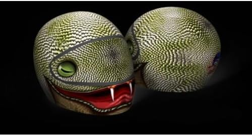 SkullSkins USA Made Graphic Protective Street Full Face Helmet Covers (110 Styles) - Frontiercycle (Free U.S. Shipping) (Cobra)