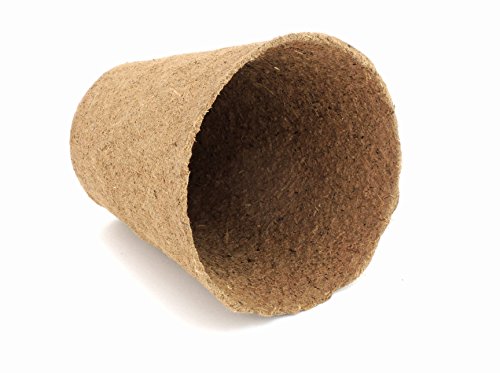Daniel's Plants Biodegradable Seed Starter Pots (30 Pack) - Image 3