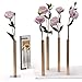 Produktbild PELEG DESIGN Magnetische Blumenvase  Mini Vasen für Tischdeko | Set mit 5 kleinen Silbervasen aus Aluminium  Vasen Set für Wohn- und Gartendekoration, für echte und künstliche Blumen (Gold)