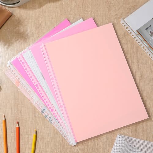 Pochettes pour classeur à 30 trous anti-déchirure pour protéger vos documents - 4