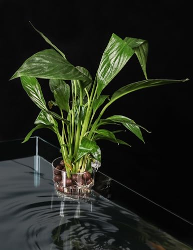 Image of 2 Pack Clear Aquarium Plant Holder Top Hanging Fish Tank Plant Holders Fits up to 0.8in Tank Edges, Aquarium Decor