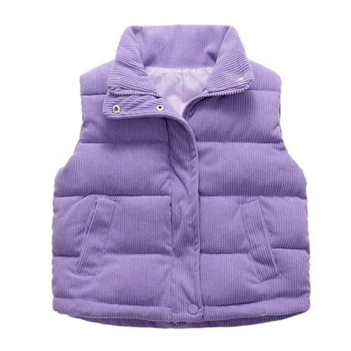 Girls and Toddlers' Lightweight Waterproof Packable Puffer Vest Stand Collar Thick Warm Coat Sleeveless Waistcoat