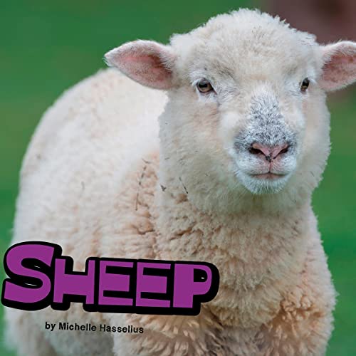 Sheep by Michelle Hasselius episode artwork