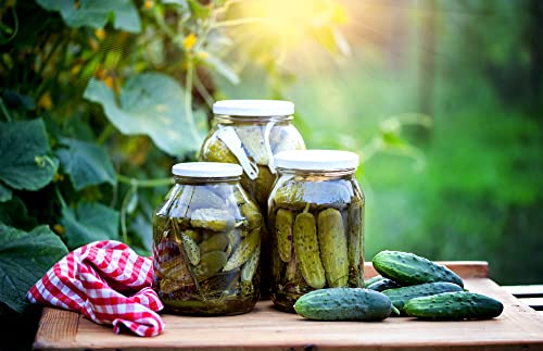 National Pickling Cucumber Seeds For Planting, 75+ Heirloom Seeds Per Packet, (Isla's Garden Seeds), Non Gmo Seeds, Botanical Name: Cucumis Sativus, Great Home Garden Gift #TOP2