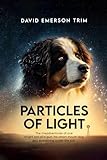 Particles of Light: The misadventures of one bright son of a gun, his smart mouth dog and everything under the sun.