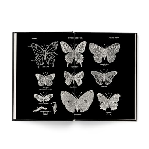 O colecionador: O colecionador: - Imagem 6