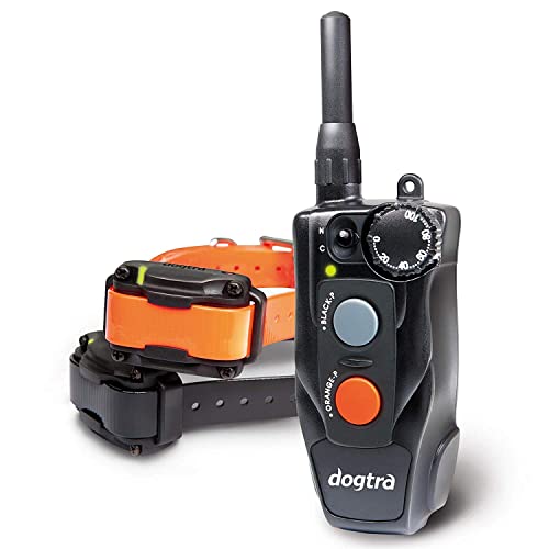 Dogtra 202C Two Dog Remote Training Collar - 1/2 Mile Range, Rechargeable, Waterproof - Plus 1 Iclick Training Card, Jestik Click Trainer - Value Bundle #TOP1