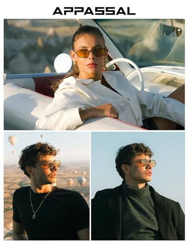 Retro Oval Sunglasses for Women Men Trendy Large Round Y2k Sunnies AP3681