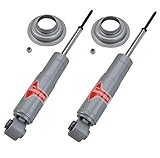 Pair Set of 2 Rear Suspension Struts For Jaguar Vanden Plas