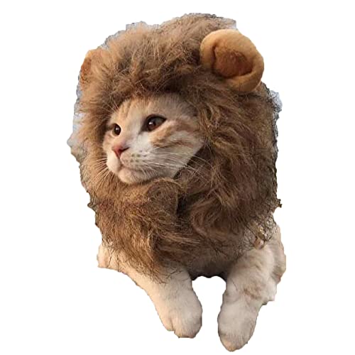 C[X^[̂킢RX`[ETM̖XqitjL^pp[eB[ybgANZT[wbhEFAi6j