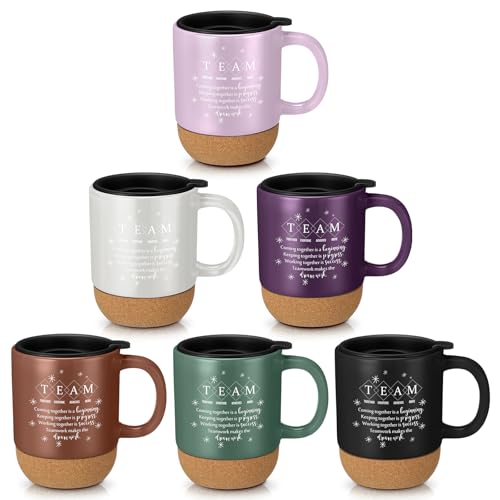 Didaey 6 Pcs Team Gift for Employee Thank You Mug Bulk, Morandi