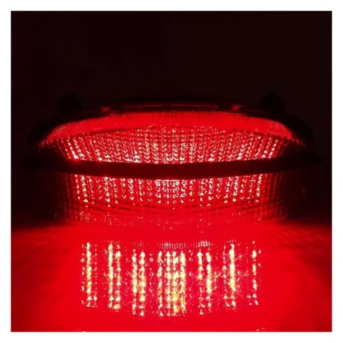 Luz trasera freno intermitentes LED CBR 929 RR Fireblade tulipa transparente 6